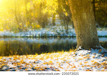 Views of the autumn park with yellow leaves on snow in sun rays and river bridge. Filtered image: Soft and colorful effects.