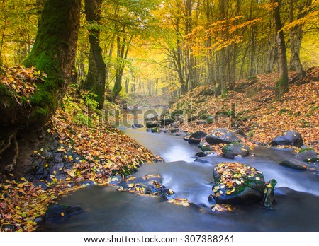 Landscape mountain river in autumn forest at sunlight. Fast jet of water at slow shutter speeds give a beautiful magic effect.