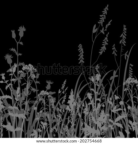 Silhouettes  of flowers and grass at night, hand drawn illustration