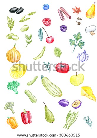 vector set of food drawing by color pencil, doodle spices, fruits and berries, hand drawn vector elements
