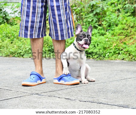 Man with his dog  (French Bulldog)  in the street
