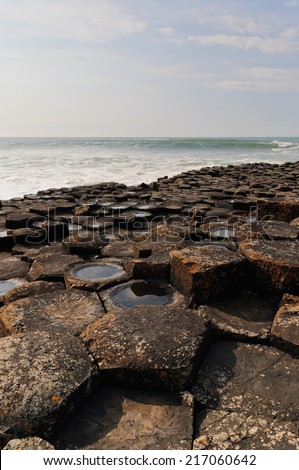 Details of the rocks in Giants Causeway. Northern coast of County Antrim, Northern Ireland.