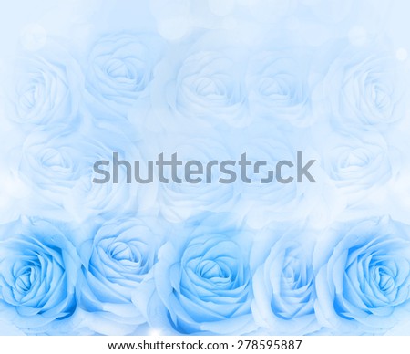 Background of blue roses.