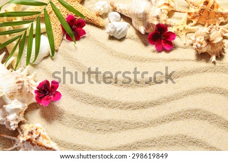 Sea shells and flowers on the  sand background. Summer beach.