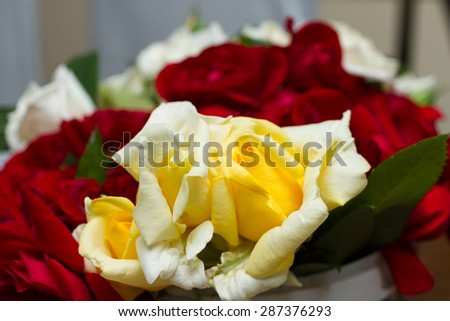 Wedding decorations with fresh yellow roses. Closeup
