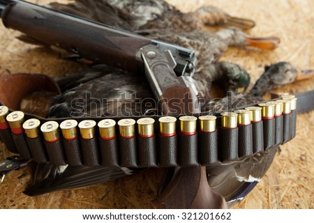 Gun, hunting, a dead duck, and ammunition on the table