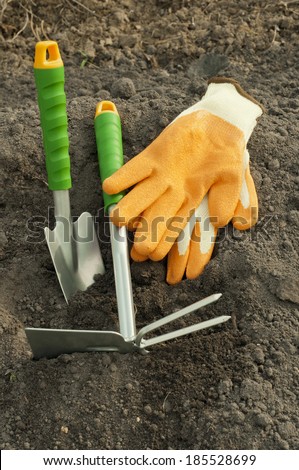 green shovel and rake, garden gloves for seedlings in the ground