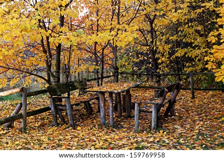 Autumn still life with old wooden tables and benches with wooden fence and shed leaves