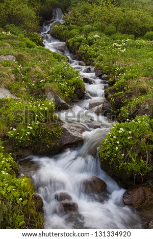 Zen Cascade. A perfect cascade trimmed in wildflowers flows into a high alpine basin in Colorado\'s wilderness.