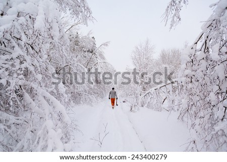 A man with an ax walks in the winter snowy forest