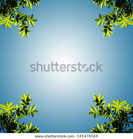 Leaves, twigs, green, yellow, beautiful, suitable for a background.