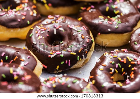 Donut with Chocolate Icing and Sprinkles