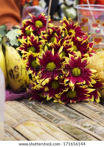Chrysanthemum flower  in  Buddhist ritual