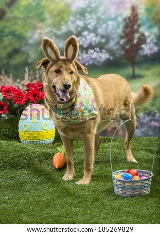 A happy mutt dog wearing bunny ears stands among an Easter basket filled with colorful eggs and a giant Easter egg in the background