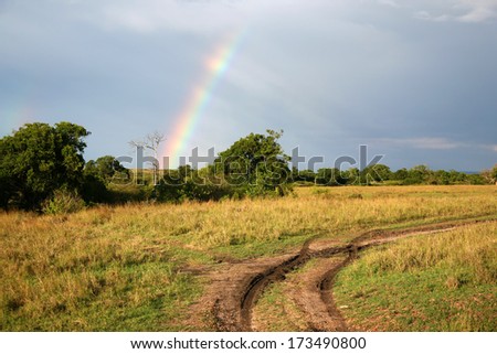 African landscape with rainbow,Tanzania, sunset light before a storm.
