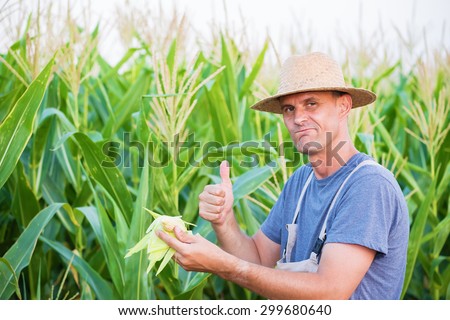 Young farmer holding an ear of corn, looking at camera, thumb up.Shallow doff, copy space