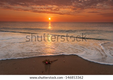 Rose on the beach at sunrise