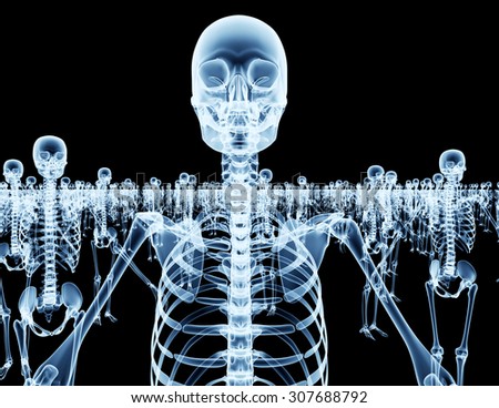 lot of skeletons isolated on black