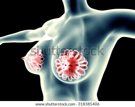 anatomy of a woman on black with clipping path.