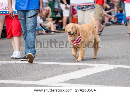 4 Th July 2015, Barnstable county, Massachusetts, USA\
Dog walking on parade
