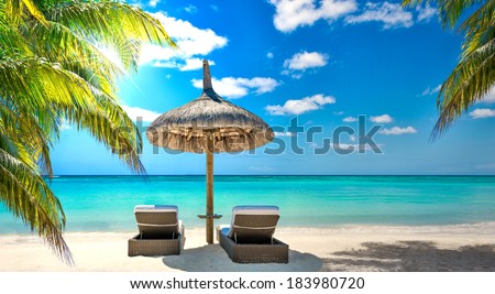 caribbean beach summer with tropical color palm tree, sun, turquoise sea and sand