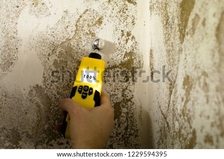 Person is measuring the humidity in a wet wall