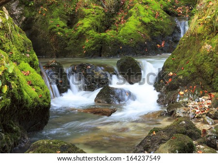 mountain waterfall. fast stream water in the Transylvania