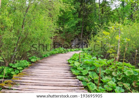 Wood path in the Plitvice Lake in Croatia