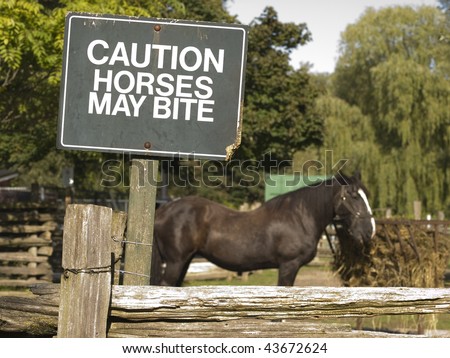 Green sign cautioning that horses may bite atop a wooden fence. Brown horse feeding in the background. Toronto Island, Ontario, Canada.