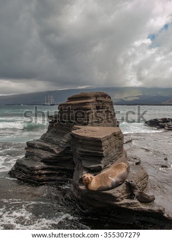 Sea lion lounging on three tiered rock formation on the beach with sea and ships and cloudy sky in the background in Galapagos Islands, Ecuador.