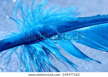 A soft blue feather with a clear water droplet