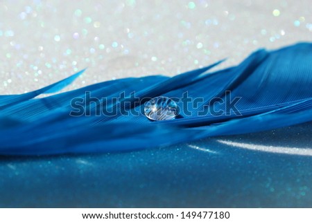 Blue feather with a sparkling water droplet