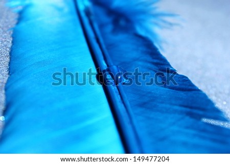 A sparkling clear water drop on a lovely blue feather
