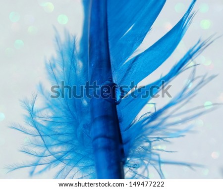A brilliant blue feather with a sparkling water drop