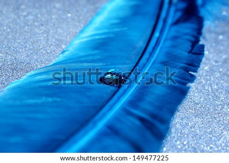 A colorful blue feather with a sparkling water droplet