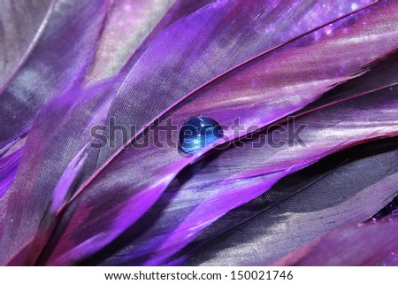 Pretty purple feathers with a clear blue water drop