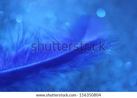 A delicate blue feather with a dreamy blue background