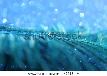 A dreamy blue feather with a clear sparkling water drop