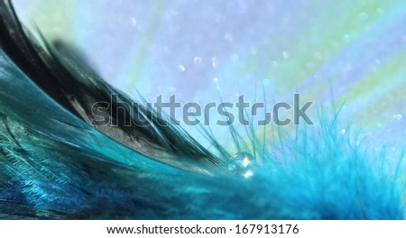A clear sparkling water drop on top of soft blue feathers