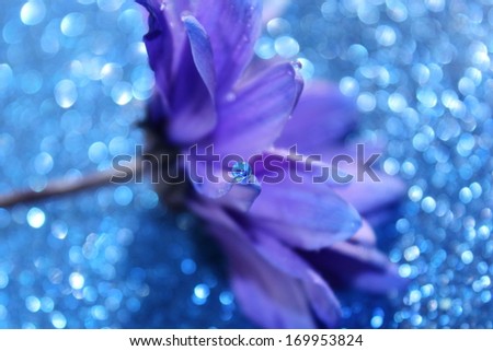 A unique image of a purple daisy with a sparkling blue water droplet on a blue bokeh background