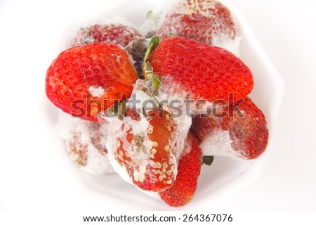 Moldy out of date strawberries.