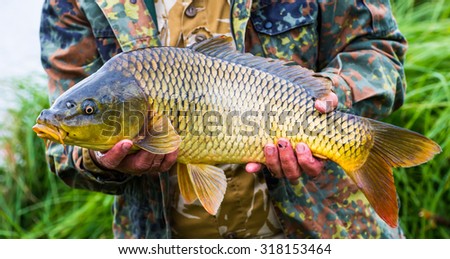 Happy fisherman holding a beautiful common carp