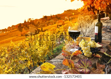 Glass of red wine on the terrace vineyard in Lavaux region, Switzerland