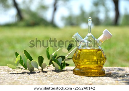 Bottle of olive oil in the olive grove. Sirmione, Italy