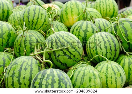 Whole watermelons filling the picture frame.