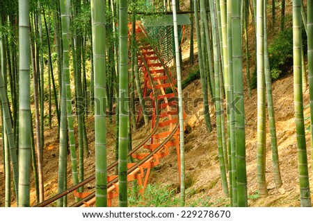 A roller coaster track through a bamboo forest in Anji national Bamboo Forest in Anji County China.