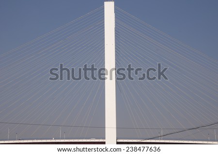 The main support structure and cables of the Nanpu Bridge in Shanghai China spanning the Huangpu River against a blue sky.