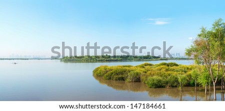 Sun Island west beach wetland park, located in Harbin City, Heilongjiang Province, China.