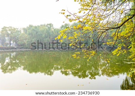 Pond in a haze weather. Located in Peking University, Beijing, China.