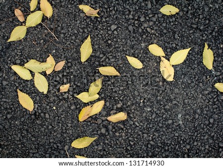 The texture of fresh asphalt lined up close. Autumn fallen leaves on the pavement.